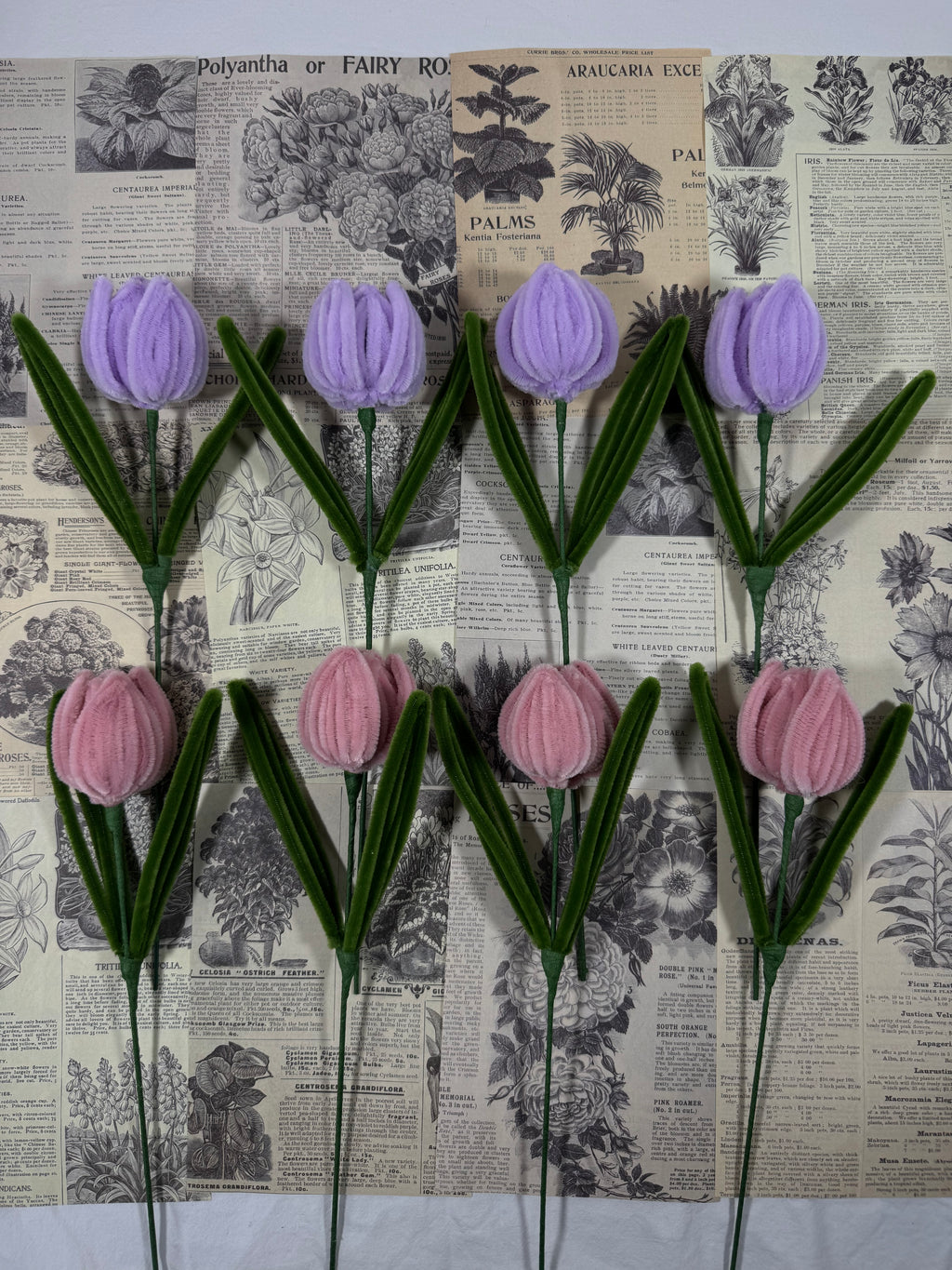 Tulpen Bastelset – Blumen aus Pfeifenreinigern (Pink & Lila)