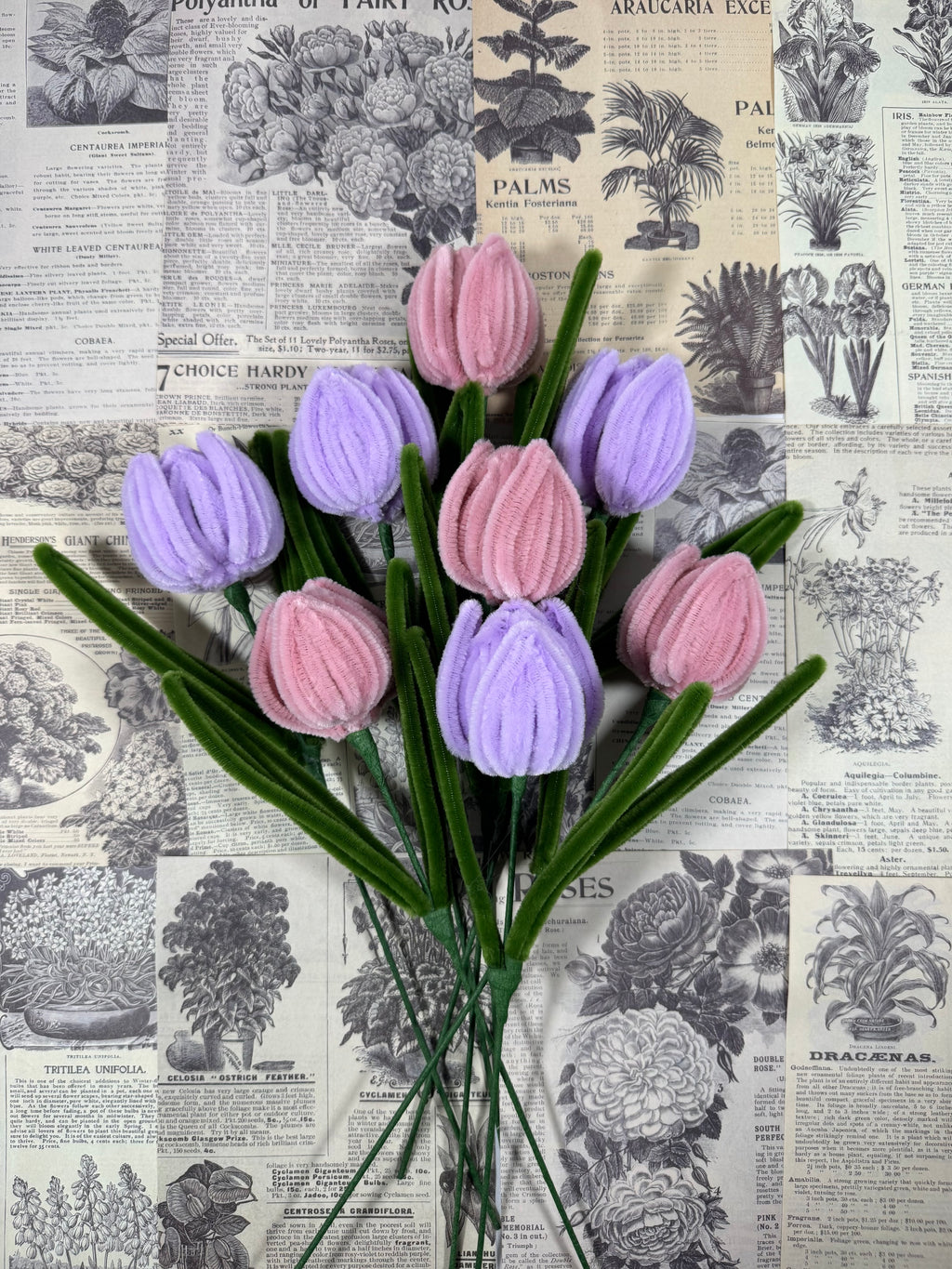 Tulpen Bastelset – Blumen aus Pfeifenreinigern (Pink & Lila)